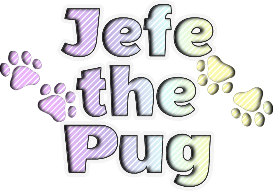 Jefe the Pug